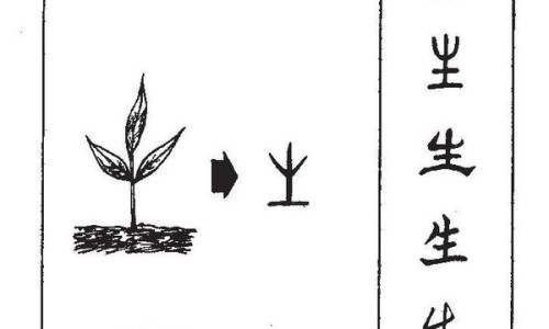 脚面骨刺图片大全-【脚面骨刺怎么快速去除】脚面骨头图片 - 脚面骨刺图片网