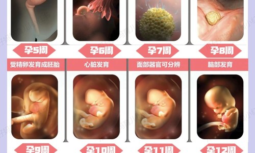 【脚面骨刺怎么快速去除】脚面骨头图片 - 脚面骨刺图片网
