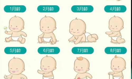 脚面骨头图片分解-【脚面骨刺怎么快速去除】脚面骨头图片 - 脚面骨刺图片网